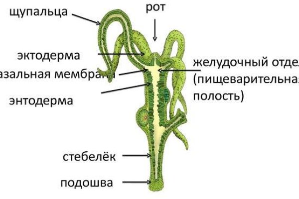 Clear ссылка на кракен